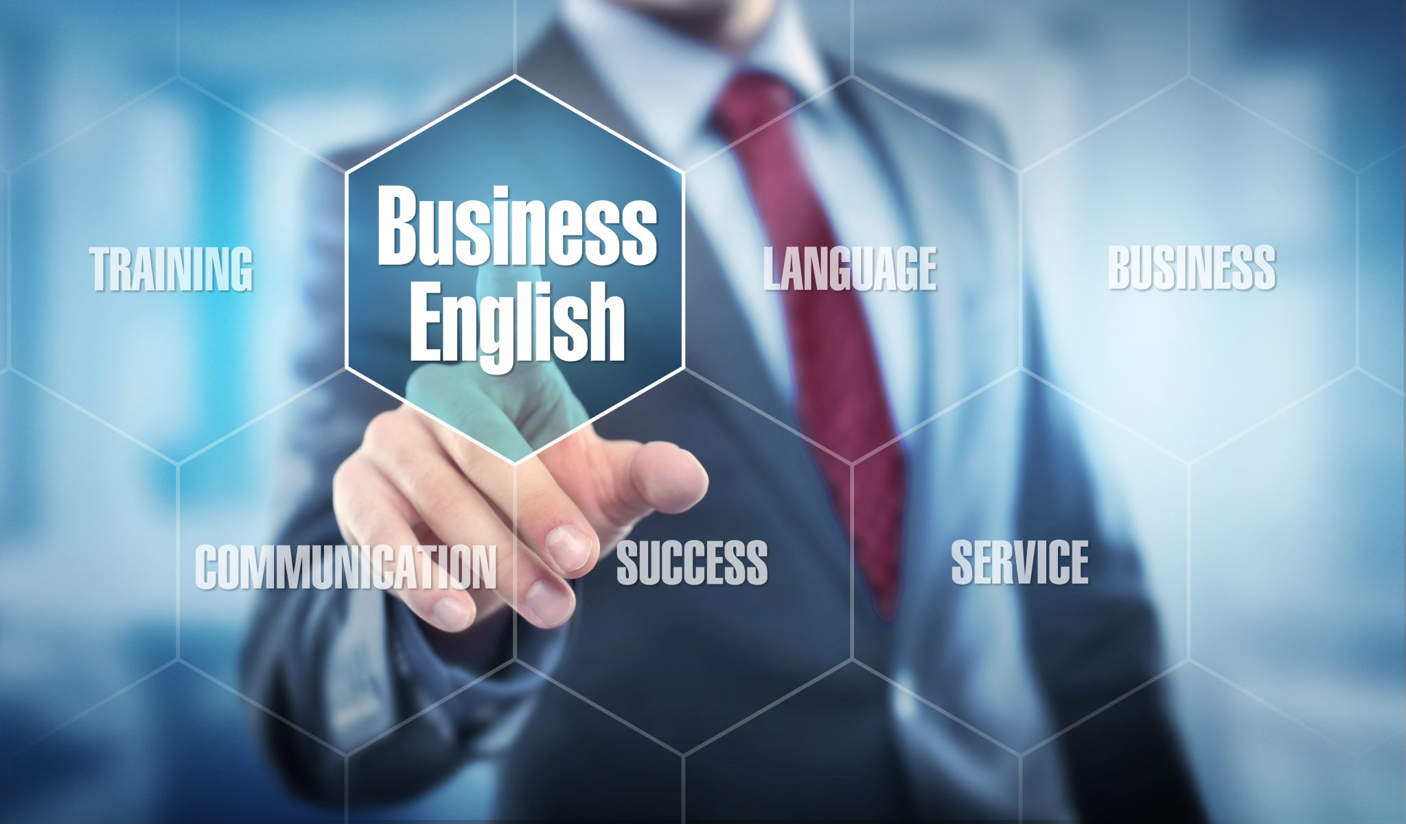 Business English Online (~100 hours)